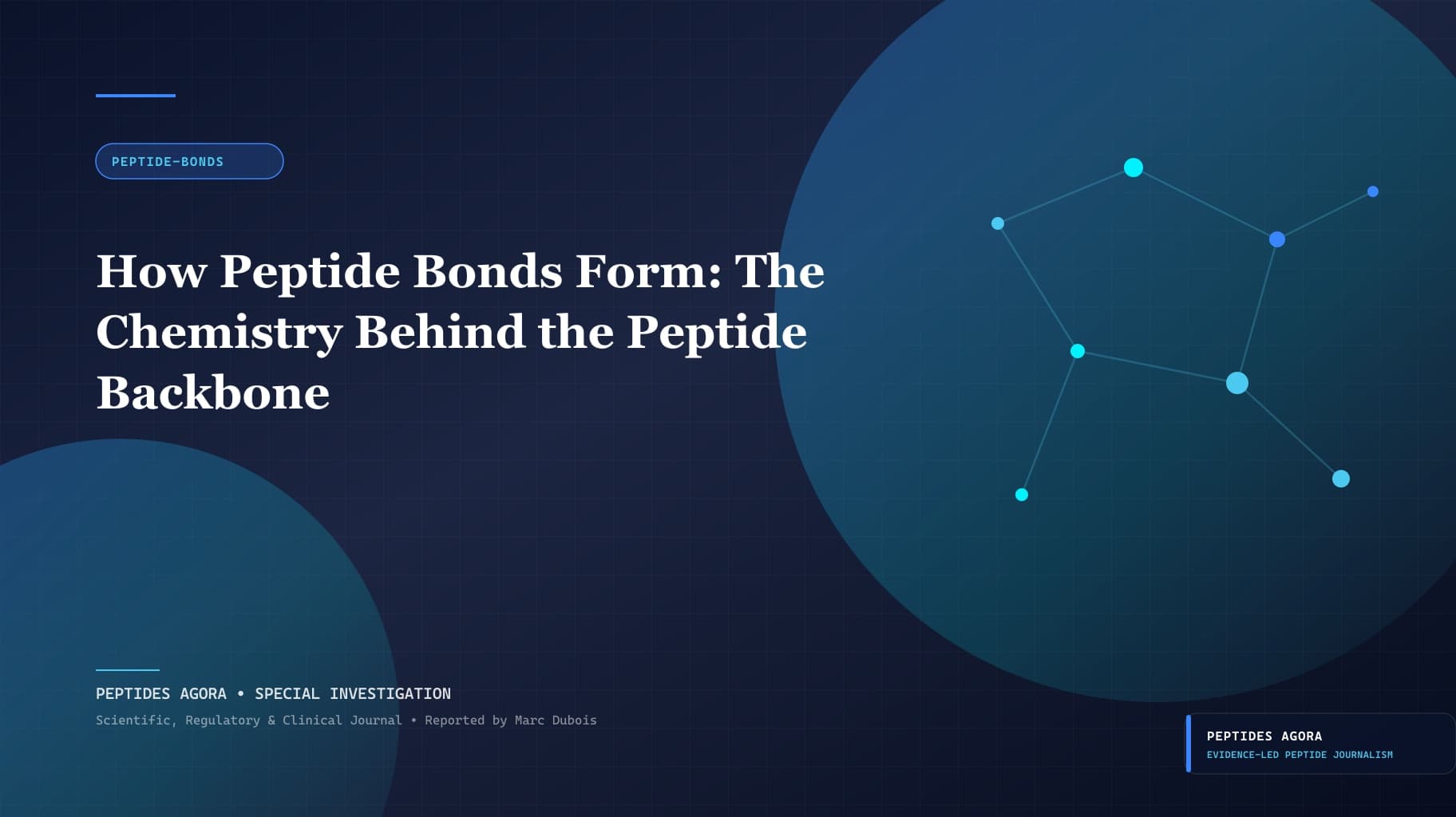 How Peptide Bonds Form: The Chemistry Behind the Peptide Backbone