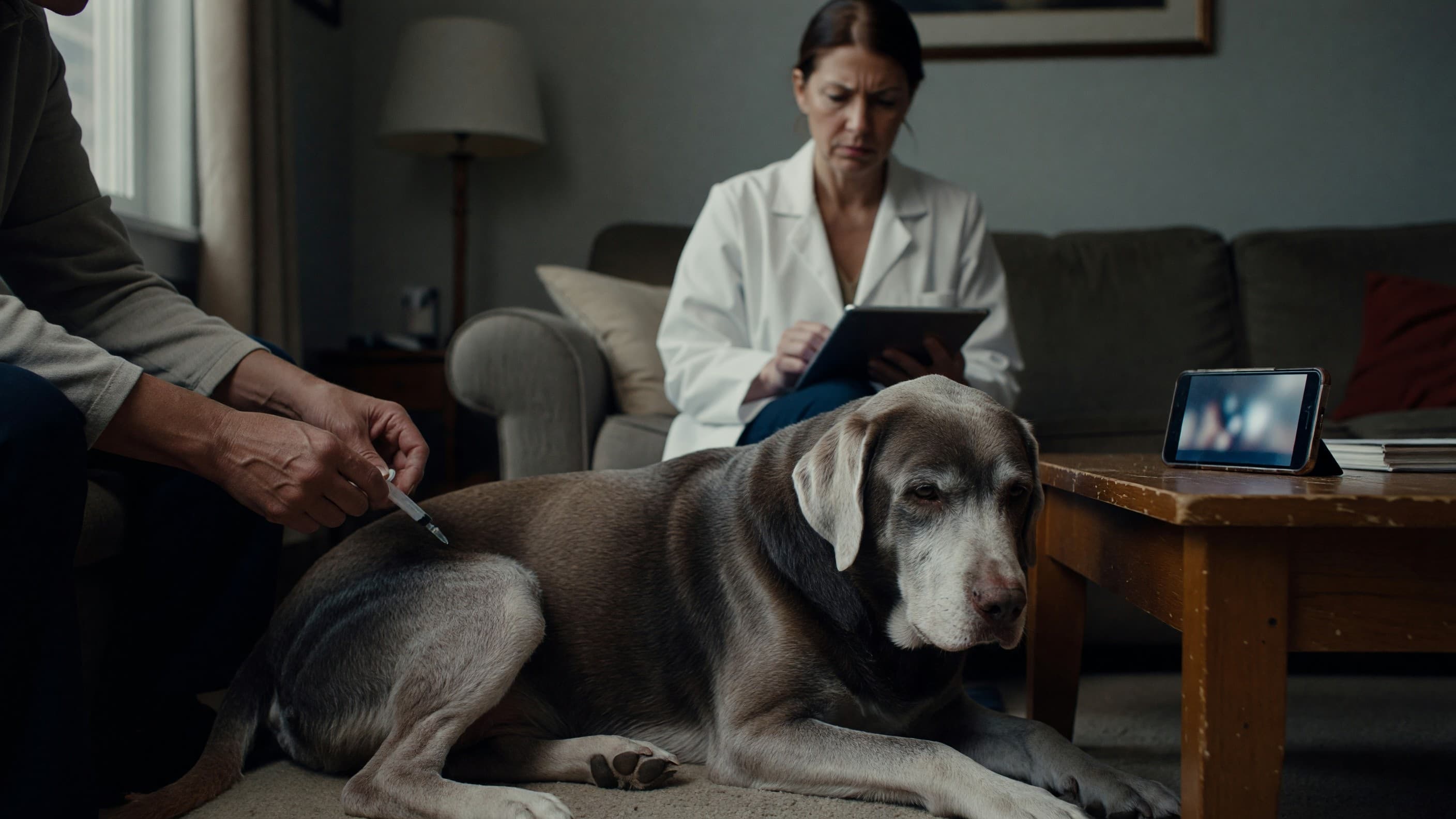 Viral Dog-Peptide Videos Outpace Veterinary Safety Data After FDA Vote