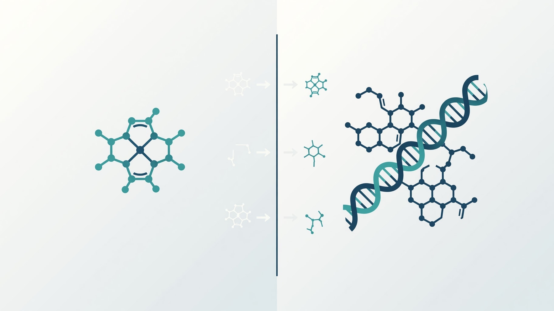 Scientific diagram and data graphic for Amino Acids vs Protein: Structural and Regulatory Distinctions