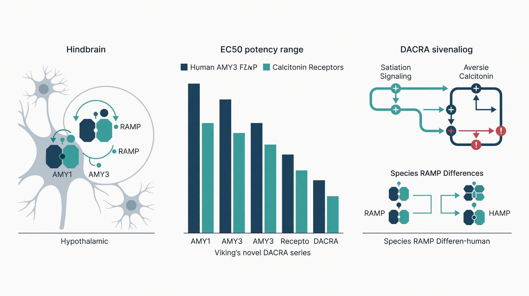 Scientific diagram and data graphic for DACRA Pharmacology Separates Preclinical Weight Loss From Calcitonin Receptor Risks