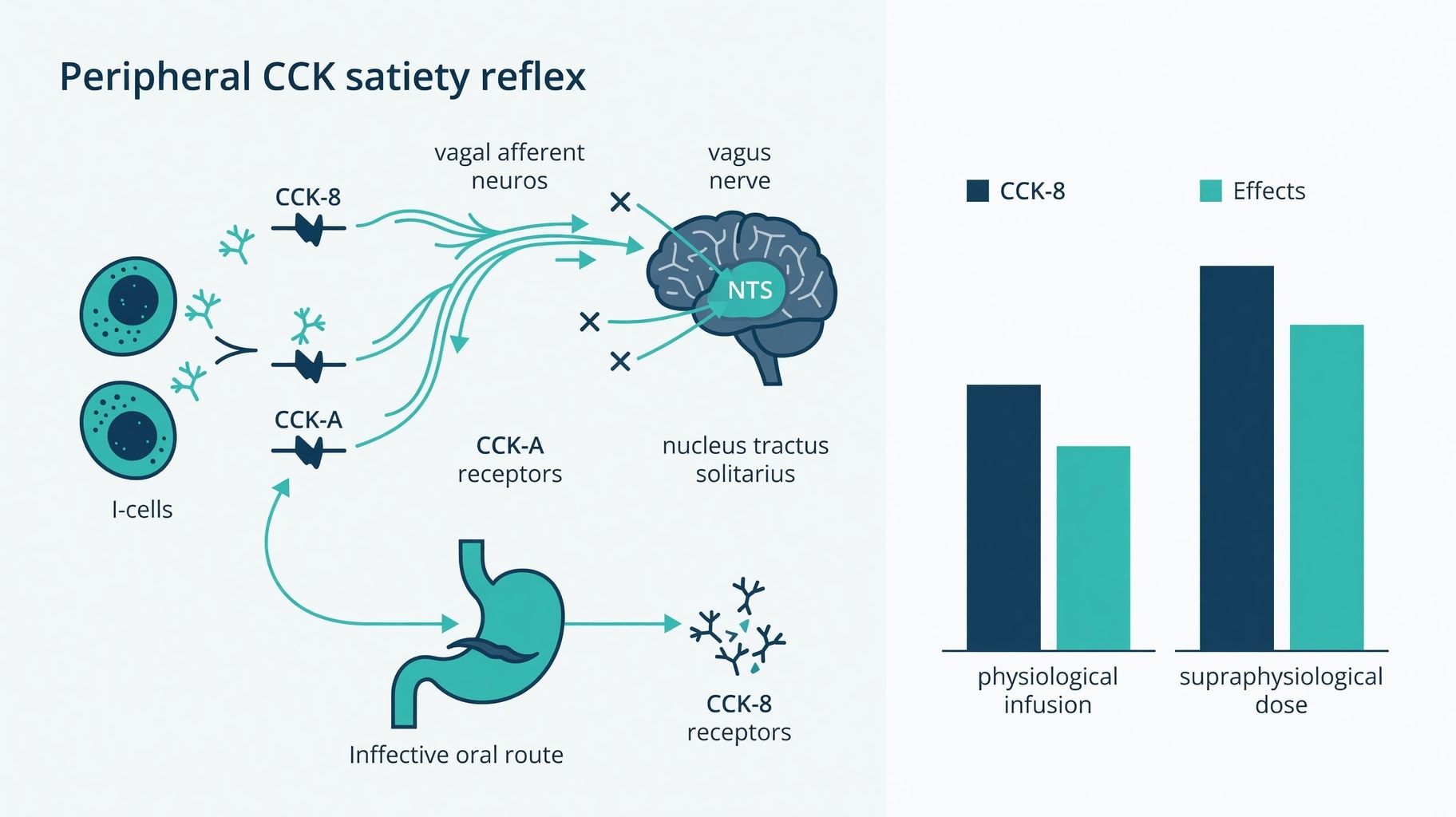 Scientific diagram and data graphic for Cholecystokinin Satiety Signaling Depends on Vagal Afferents, Not Willpower
