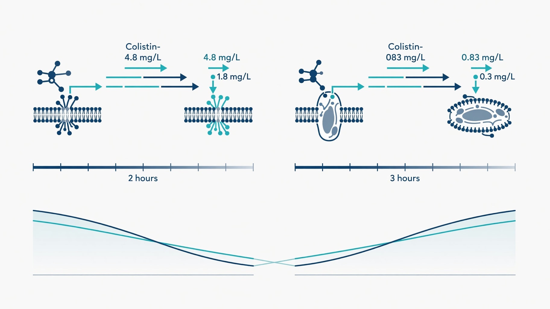 Scientific diagram and data graphic for Cyclic Antimicrobial Peptide Pharmacology: LPS Binding Versus Renal Uptake