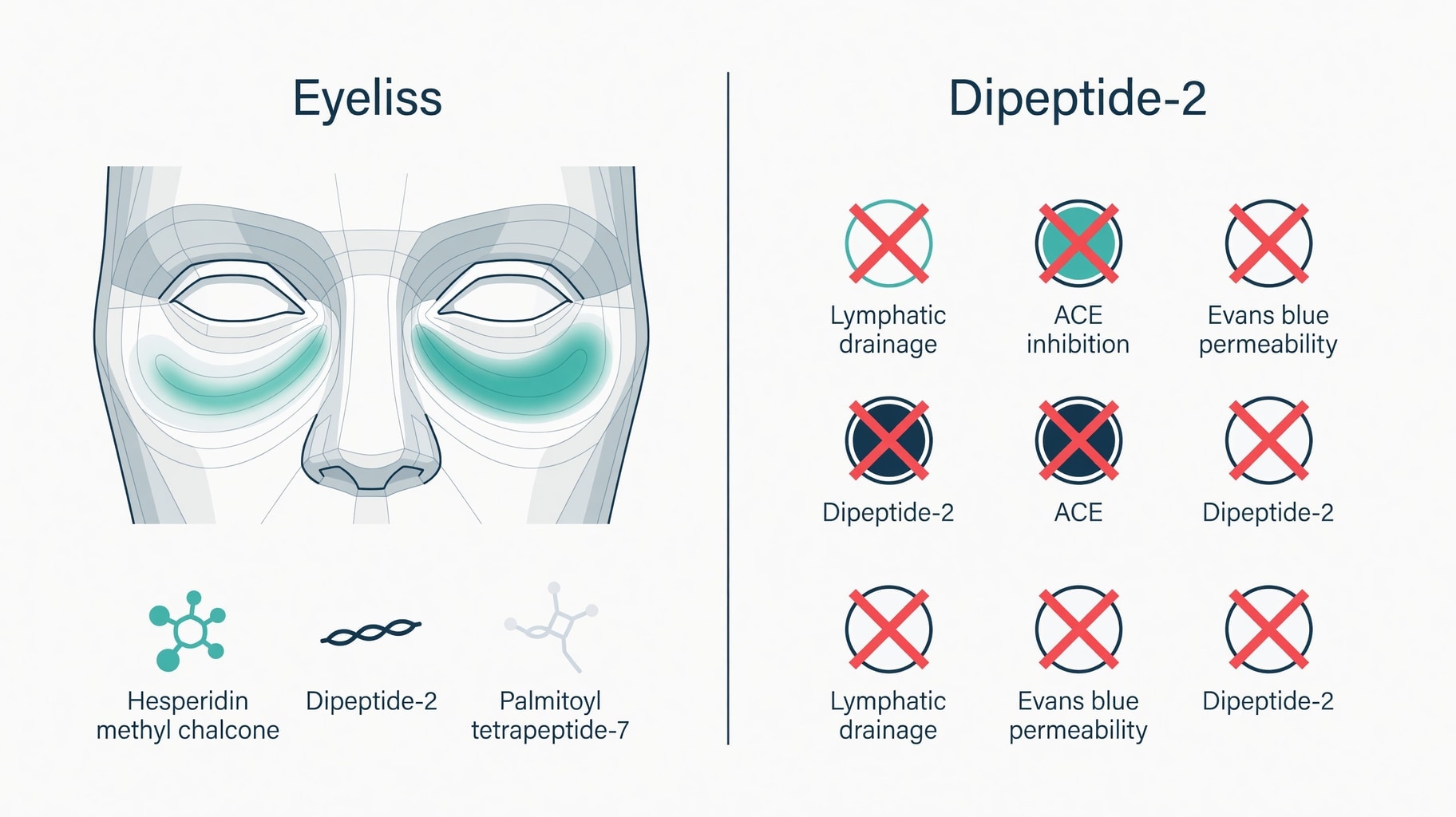 Scientific diagram and data graphic for Dipeptide-2 Eye Contour Claims Rest on Proprietary Morphometry, Not Independent Assays