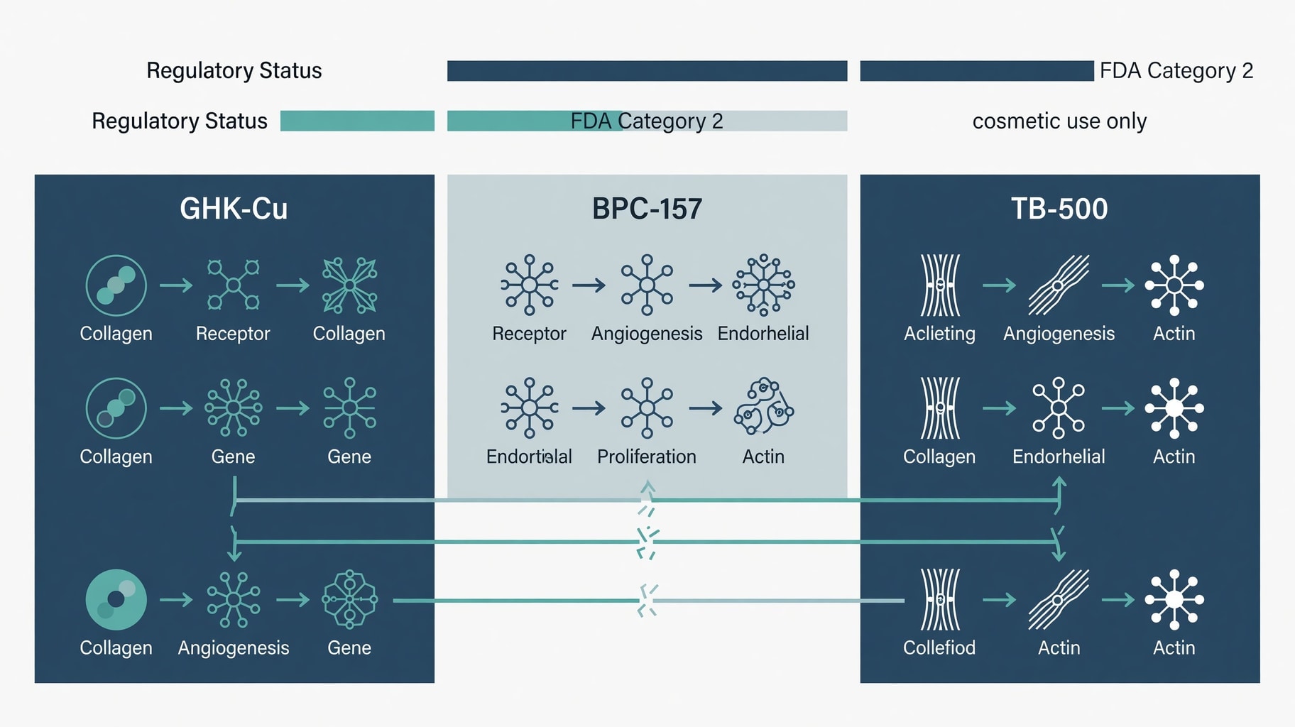 Scientific diagram and data graphic for Glow Stack Peptides Lack Clinical Synergy Data Despite Regenerative Marketing Claims