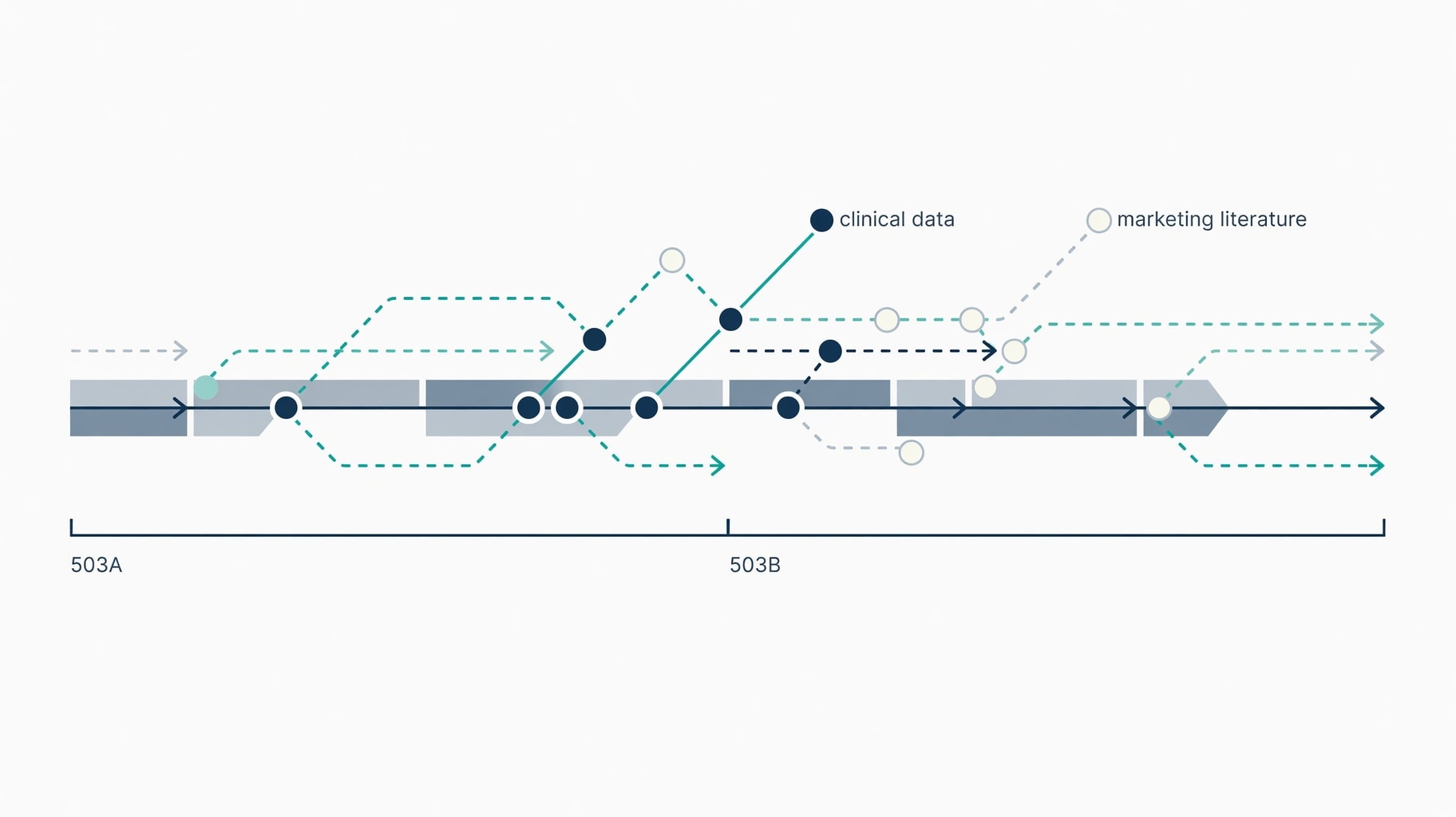 Scientific diagram and data graphic for How Long Does It Take for Peptides to Work? The Regulatory Gap Behind Vendor Timelines