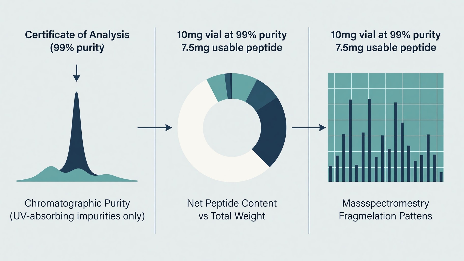 Scientific diagram and data graphic for Reading Peptide COAs: HPLC Purity, Net Content, and Documentation Standards