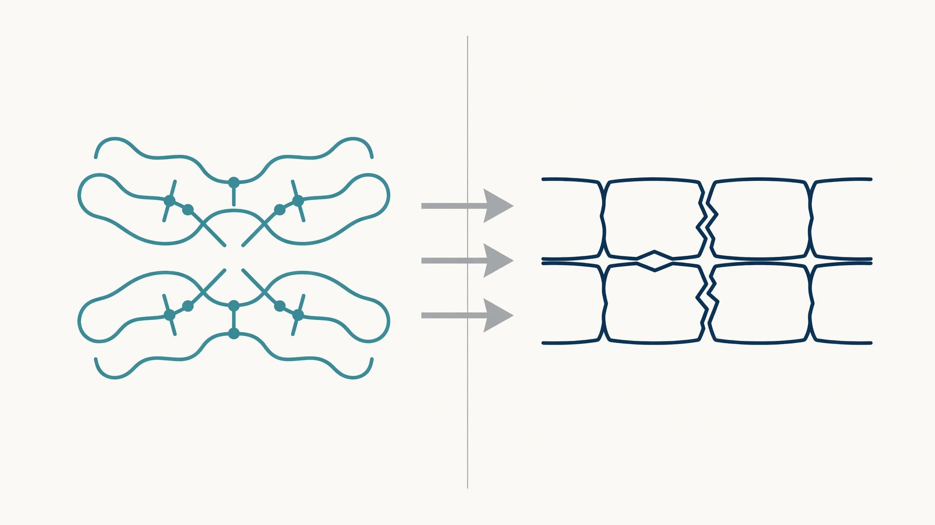 Scientific diagram and data graphic for Human Beta-Defensin Immunology: Structural Stability, MIC Data, and Barrier Limits