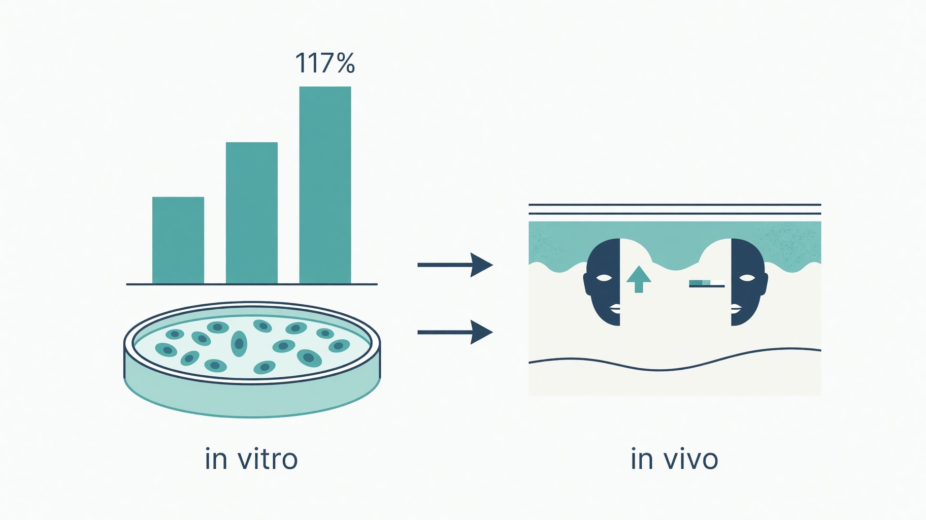Scientific diagram and data graphic for Matrixyl Collagen Claims: Separating In Vitro Assays From Topical Evidence
