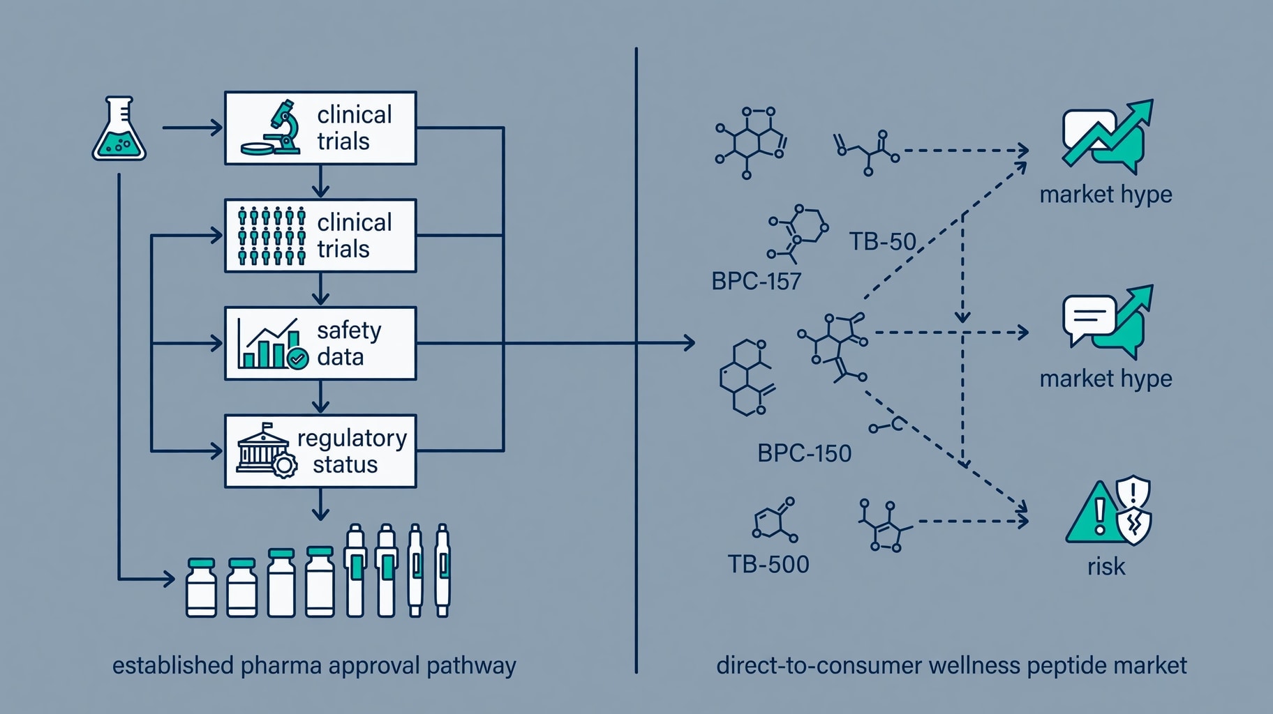 Scientific diagram and data graphic for Novo Nordisk CEO Doubts Peptide Craze
