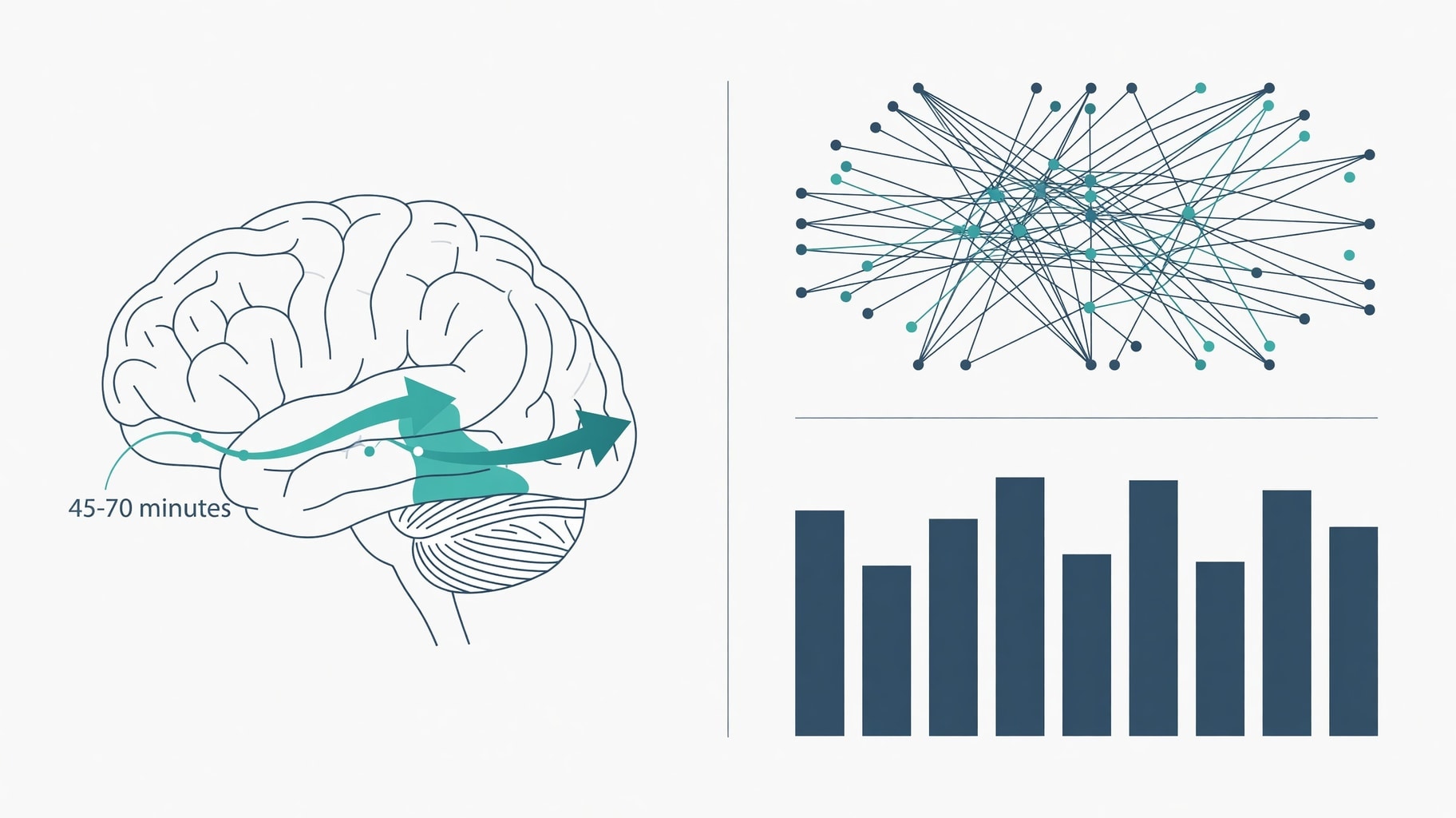 Scientific diagram and data graphic for Intranasal Oxytocin Pharmacology: Neural Shifts Without Behavioral Gains