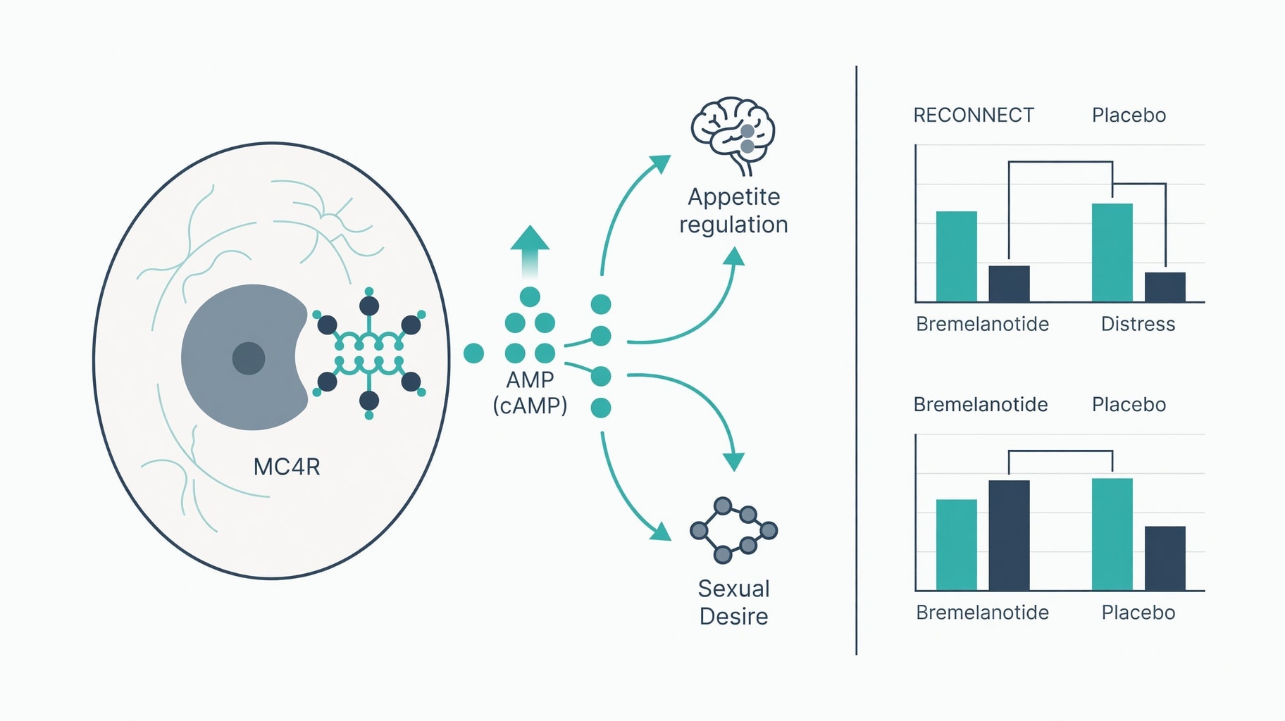 Scientific diagram and data graphic for Bremelanotide Clinical Pharmacology: MC4R Agonism and RECONNECT Trial Outcomes in HSDD