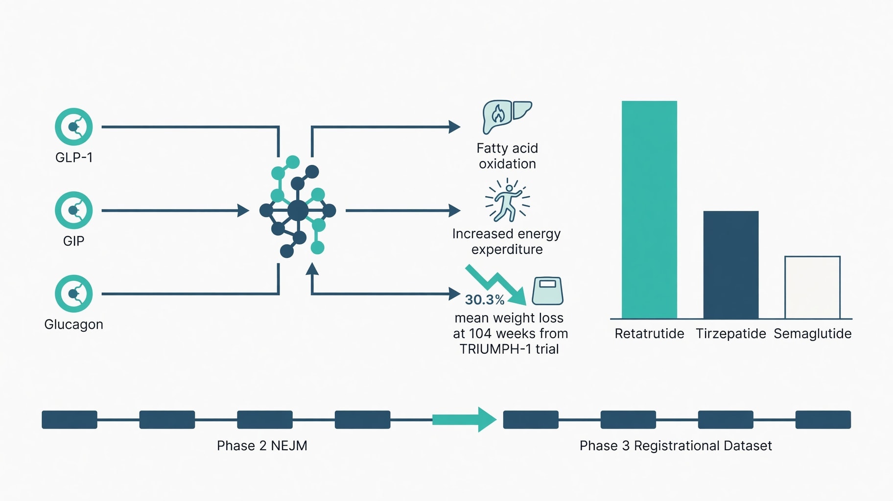 Scientific diagram and data graphic for Retatrutide Triple Agonism: TRIUMPH Phase 3 Architecture and Energy Expenditure Data
