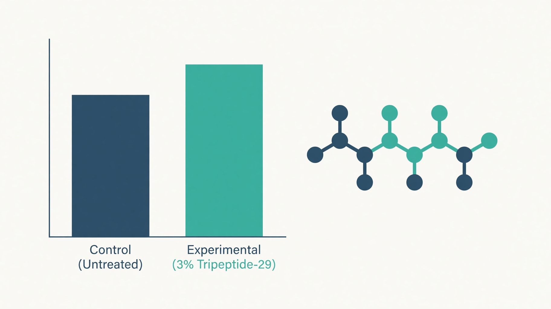 Scientific diagram and data graphic for Tripeptide-29 Mechanisms: In Vitro Collagen Synthesis and MMP Regulation Data